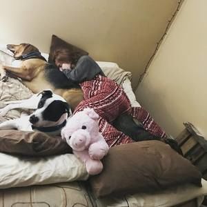 Meet your Posher, Cat